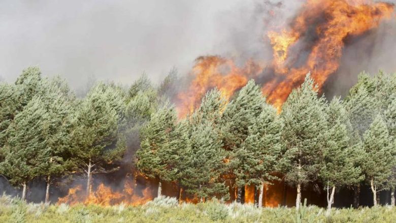 El sur de Europa se consume entre incendios y calor – Noticias Entre Amigos